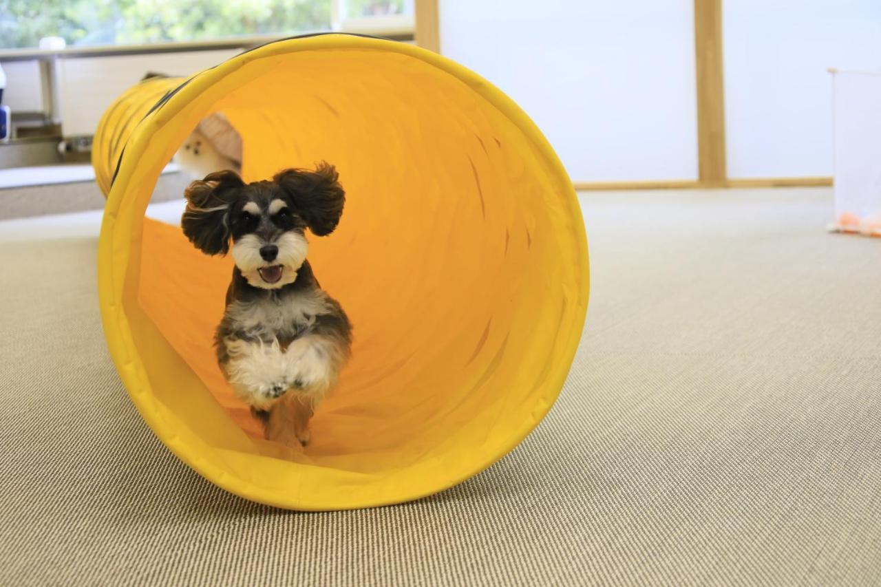 Yutorelo Tateshina Hotel With Dogs Чино Екстериор снимка